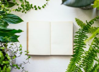 Book and plants